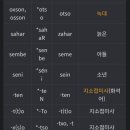 남부 비소 제005호 | 유라시아 대통일 이론: 아무르계 수렵종족 유라시아 세계 최초 유혈 정벌사