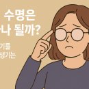미도안경 - 서구 도산로 155 | 미도안경