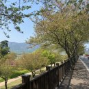 삼문강변로 이미지