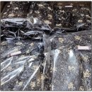 광일상회 이미지