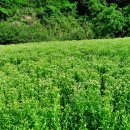 성곡1리경로당 이미지