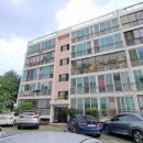 반도보라 이미지