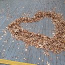 로사목장 이미지