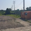 표선면-8 이미지