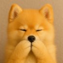 내가 주인공이다 이미지