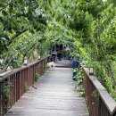 새동네어울누리 이미지