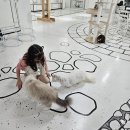 그루밍친친 | 수원 호매실 아이와 가볼만한곳 : 야옹이네 고양이카페 이용시간제한X