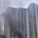 불은농약 이미지