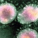 (주)이-글벳 이미지