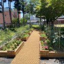 횡성초등학교 이미지