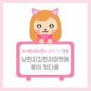 마켓 호잇