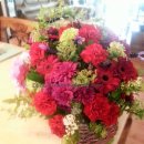 백일홍상사 이미지