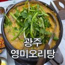 영미오리탕 | [광주 맛집] 영미오리탕 솔직 후기! 들깨 듬뿍 걸쭉한 국물과 미나리의 조합