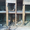 지구촌요양원 이미지