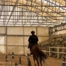 부산국제승마장 이미지