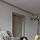 용자집. 이미지