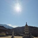 삼일사 | 진해 삼일사｜진해 가볼만한곳, 진해 근처 여행코스 정리