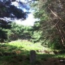 창녕 옥천사지 이미지