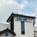 달래내로 | 판교애견유치원 전문훈련사가 있어 믿고 맡길 수 있는헬로우버디 판교밸리점 후기