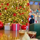 트리트멍멍 이미지