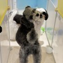 개러리아 송파점 이미지