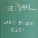 더 고결헤어