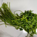 경희늘푸른노인전문병원 이미지