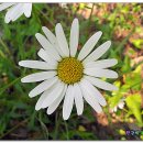 달서구노인종합복지관 이미지