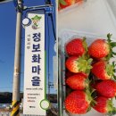 서변리 모곡마을 | [겨울여행] 거창 딸기체험 제대로즐기기