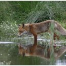 자연과우리 이미지