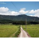 동백골한옥민박 이미지