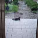 똘이PC방 이미지