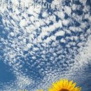 항구초등학교 이미지