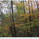 불당골2 이미지