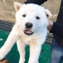 진교면사무소 이미지