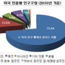 ▦ 미국인구구성 및 각주별 인구분포 이미지