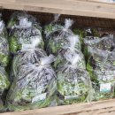 하나로마트(황등) 이미지