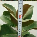 한뿌리농장 이미지