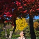 수소 전기버스 타고 떠나는 (제천 의림지 / 삼한의 초록길 / 배론성지 트레킹) 친환경 여행 (by 승우...