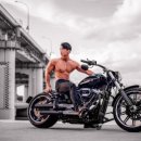 와일드 짐 이미지