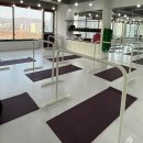 로망핏 PT 미사점 | 자세 교정 다이어트 바레운동전문 발레핏코리아 판교점