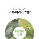 리프테라피