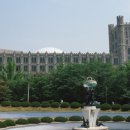 경희대부속 동서신의학병원 네이버블로그
