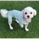 아이조아요양보호소 안양점 이미지