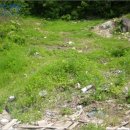 포리에이스 이미지