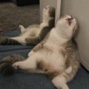 필라스테이 이미지