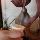 스테이정의 | 봉화사 템플스테이 후기｜수행이 이렇게 쉬워도 되나 싶었던 이유