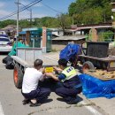 중앙지구대 이미지