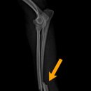 아이윌24시동물병원 이미지