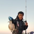 뉴패밀리 이미지